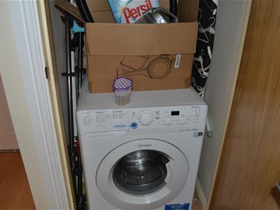 Picture 8
